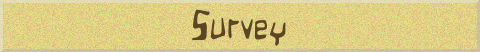 Survey